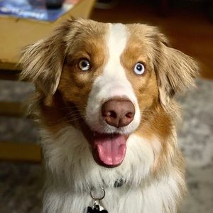 Meet your Posher, Brenda